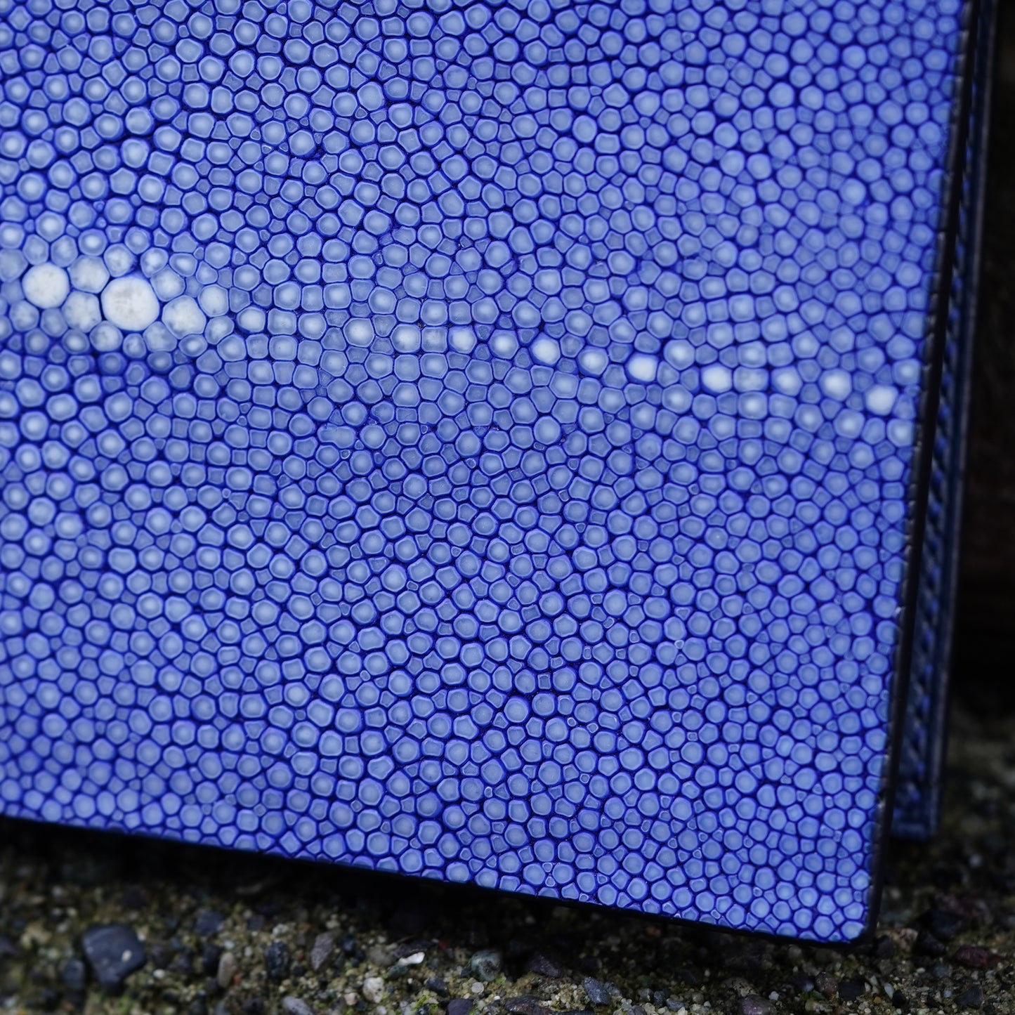 Stingray Wallet - Blue
