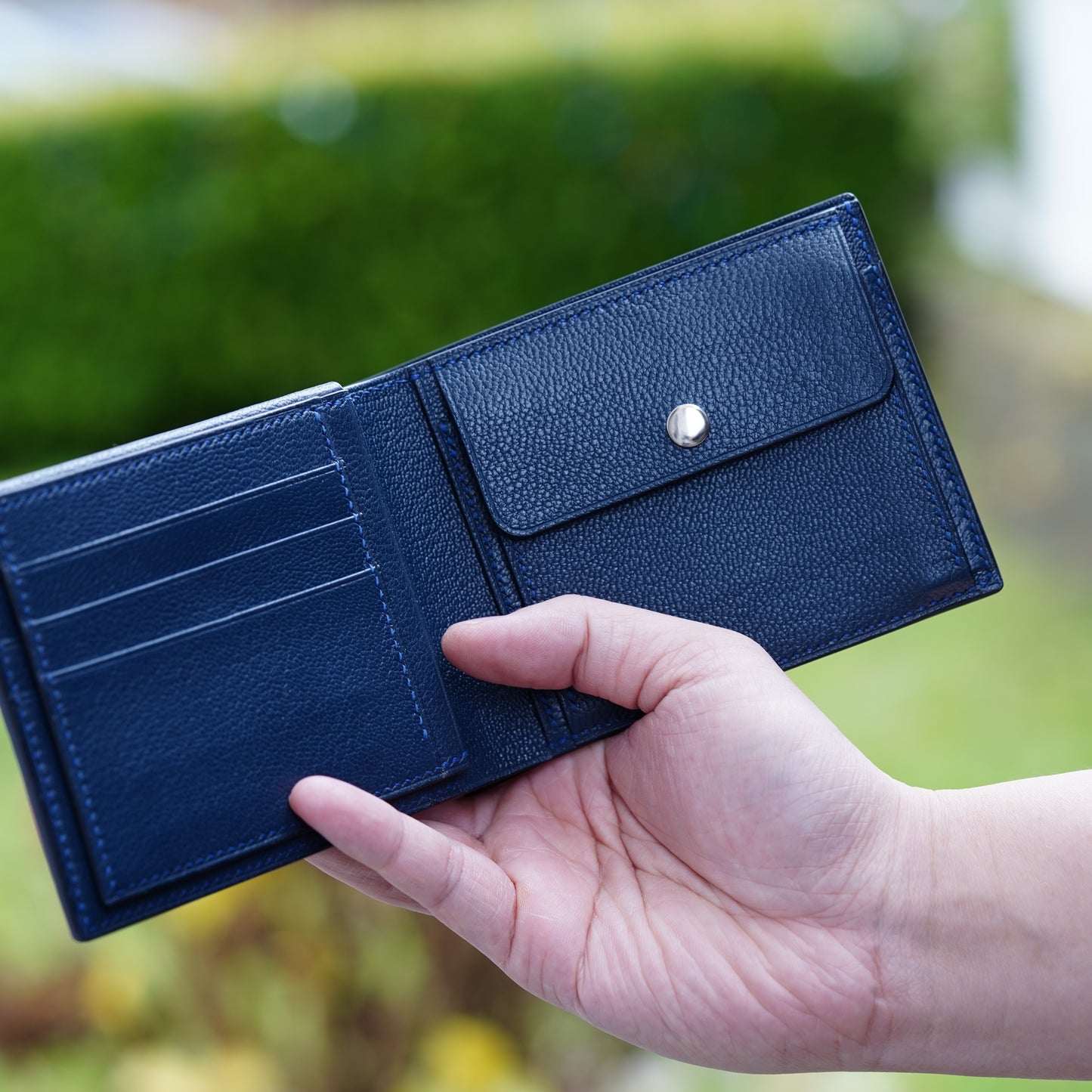 Stingray Wallet - Blue