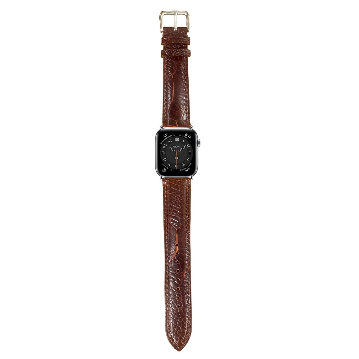Ostrich Leg Leather Watch Strap - Dark Brown