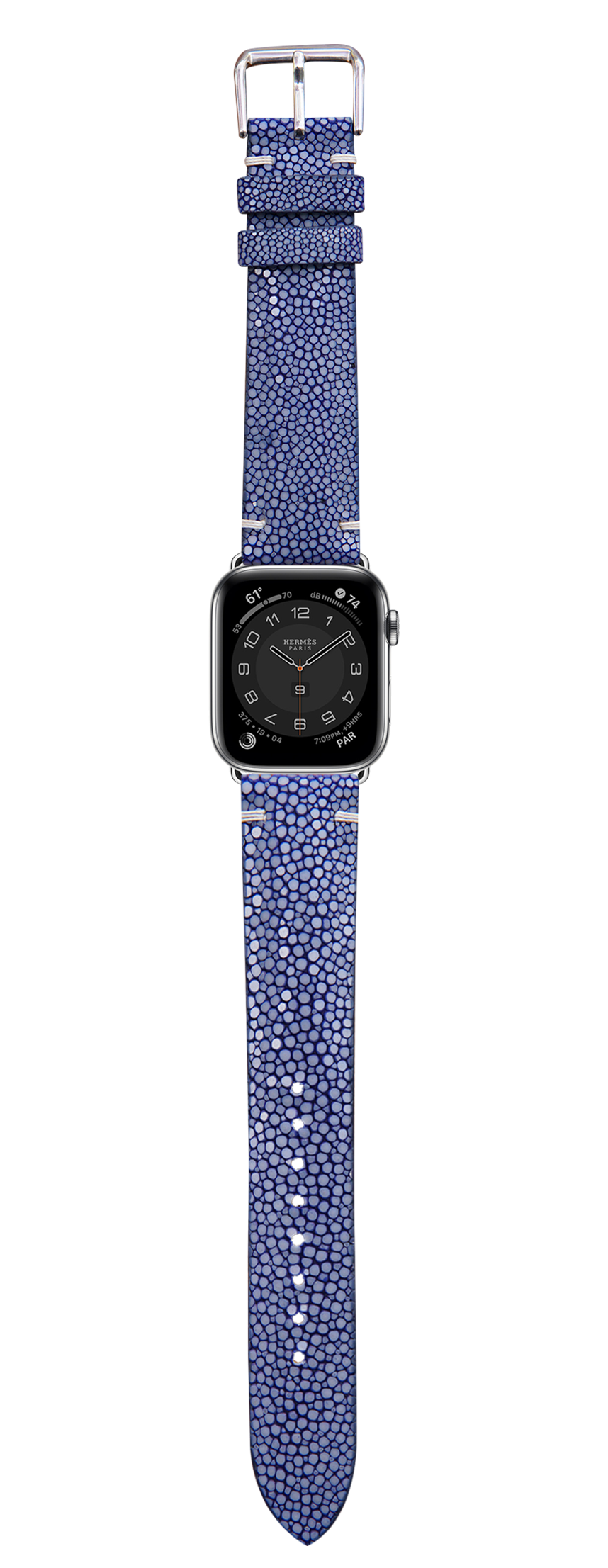 Apple Watch Strap - Stingray Leather - Blue