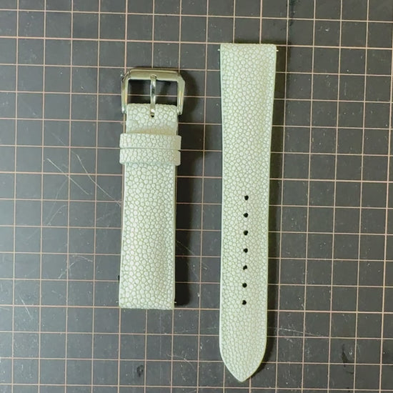 Stingray Watch Strap - White
