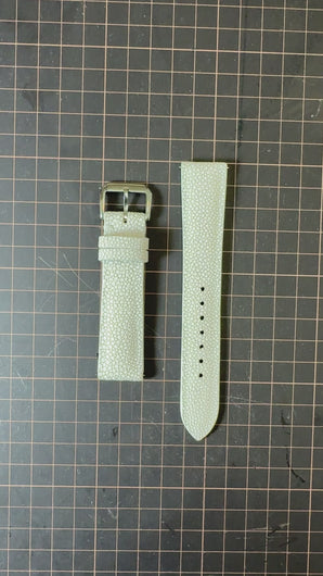 Stingray Watch Strap - White